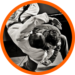 Brazilian Jiu-Jitsu for MMA image